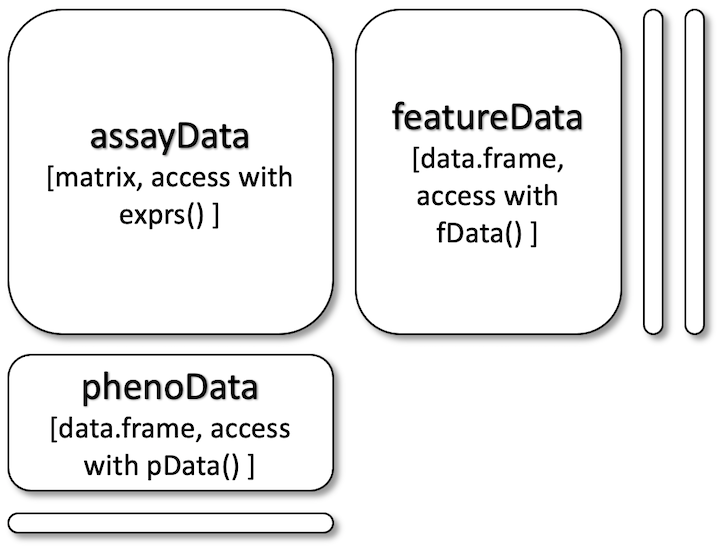 Dimension requirements for the assayData (aka. expression data), 
featureData and phenoData (aka. sample data), slots. Adapted from 
[this MSnbase vignette](https://www.bioconductor.org/packages/release/bioc/vignettes/MSnbase/inst/doc/v02-MSnbase-io.html).